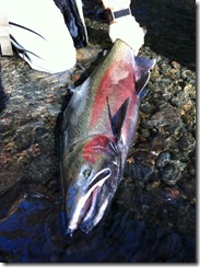 420605_10150642155941335_567476334_11414184_641093997_n