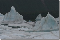 Icebergs in the lake