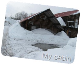 Mycabin