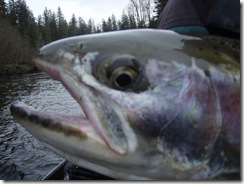 Here's looking at you