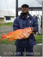 100 year old Yellow eye