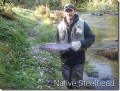Native Steelie