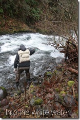 Going down the rapids