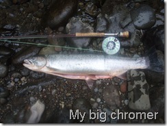 My big chromer